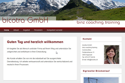 binz coaching training